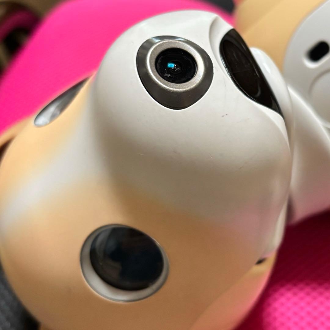 アイボ aibo きなこエディション