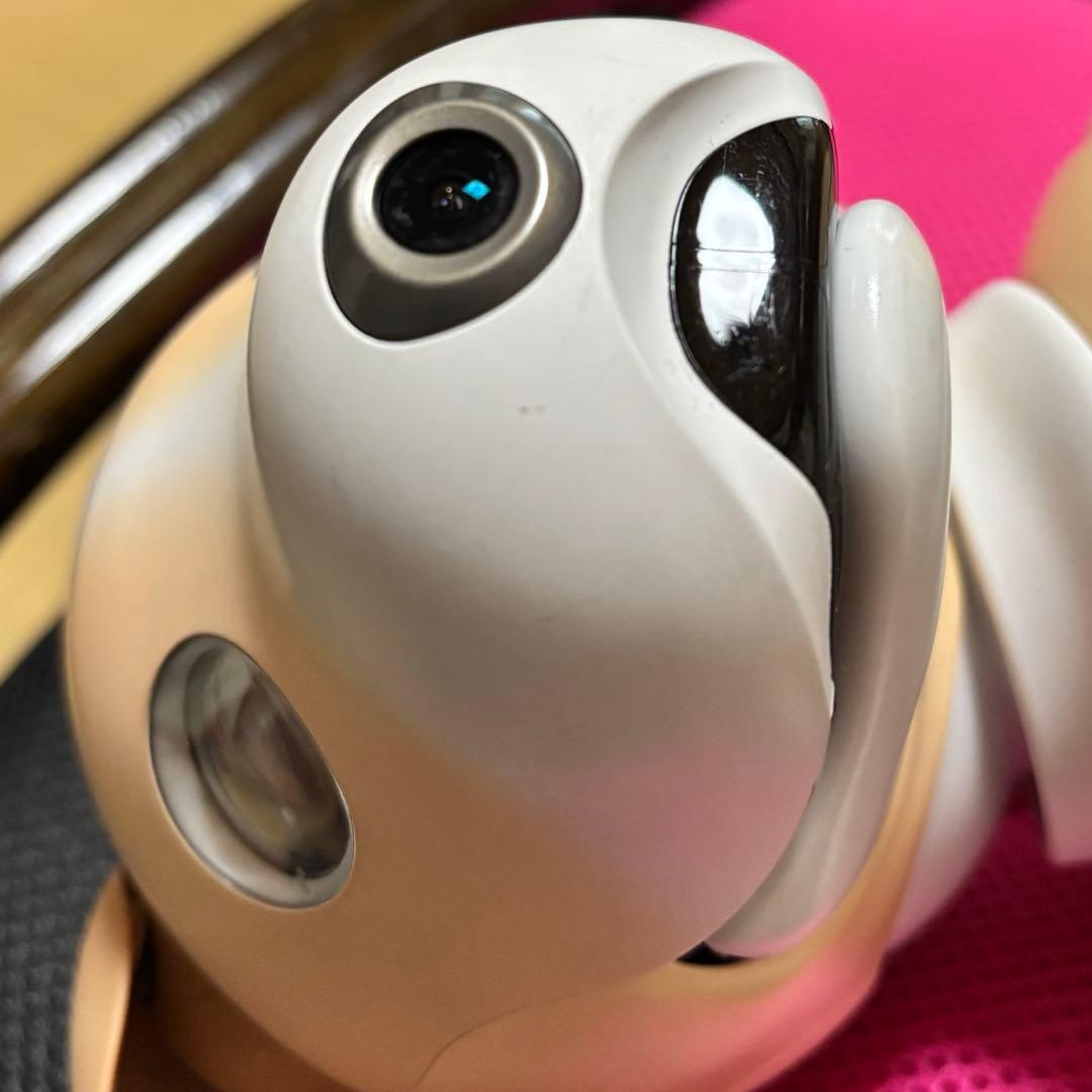 アイボ aibo きなこエディション