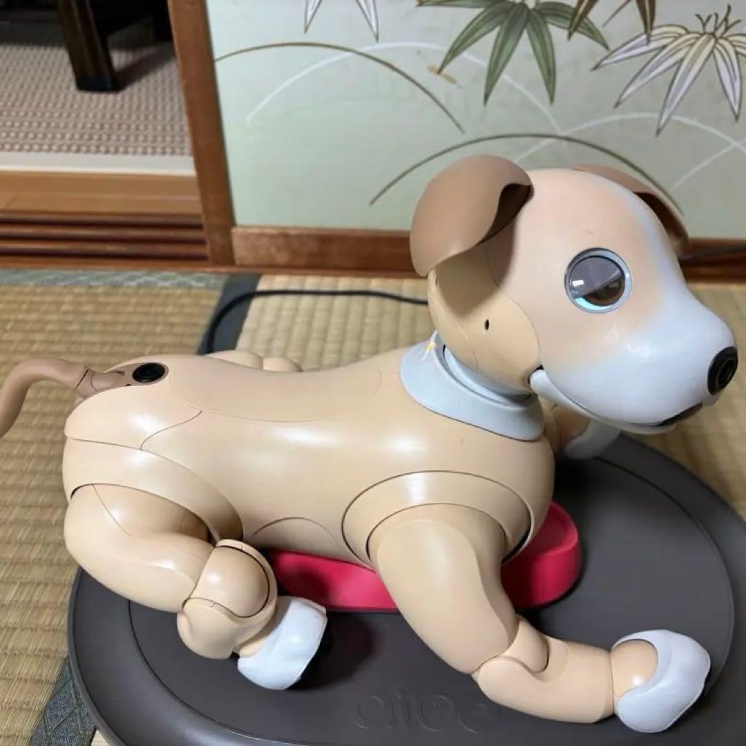 アイボ aibo きなこエディション