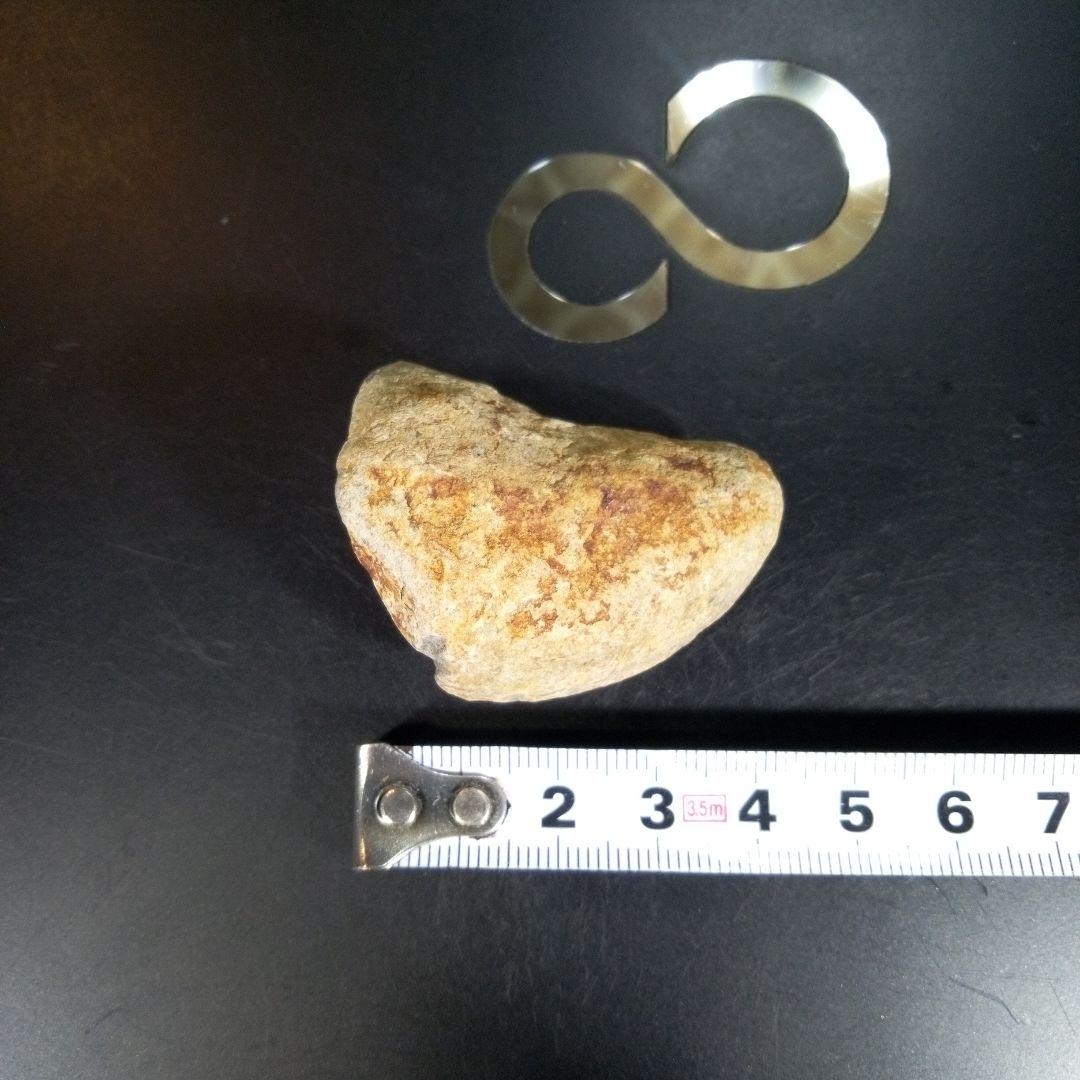 三葉虫　化石　fossil　ボリビア産　trilobite　ボリビア三葉虫郡①