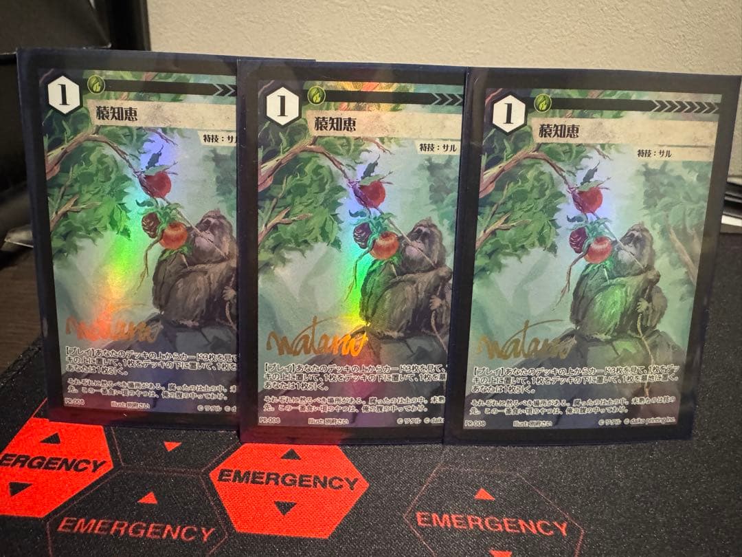 アニマルカードゲーム　ドローソースセット