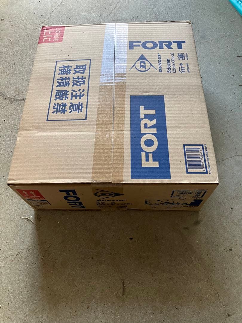 FORT テニスボール パッケージ