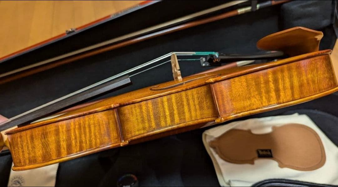 GLIGA 4/4 2003年製　バイオリン　ケース　イーストマン