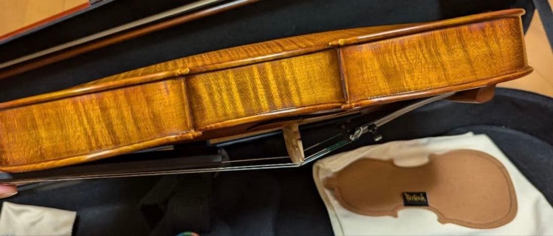 GLIGA 4/4 2003年製　バイオリン　ケース　イーストマン