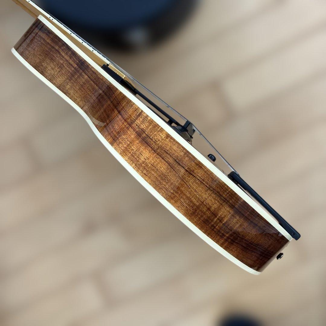 希少Sadowsky Jim Hall 12台限定koa材2024未使用フルアコ