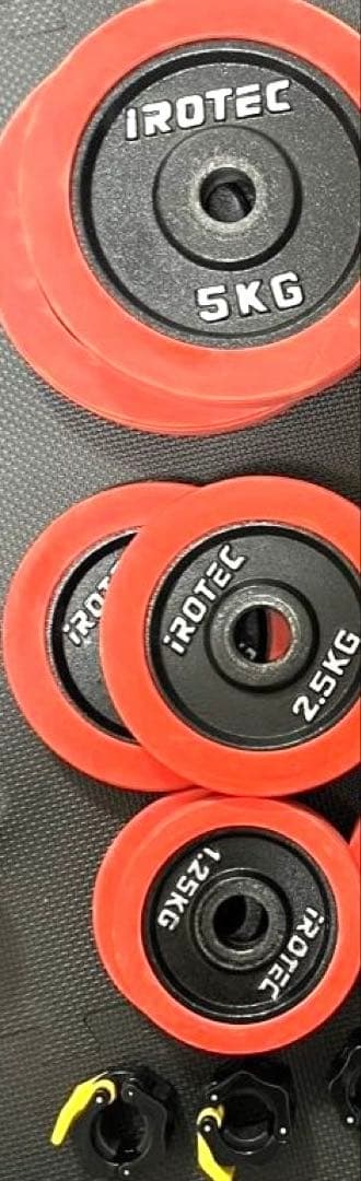 モリヤ ロングスクリューダンベルセット IROTECプレート付き