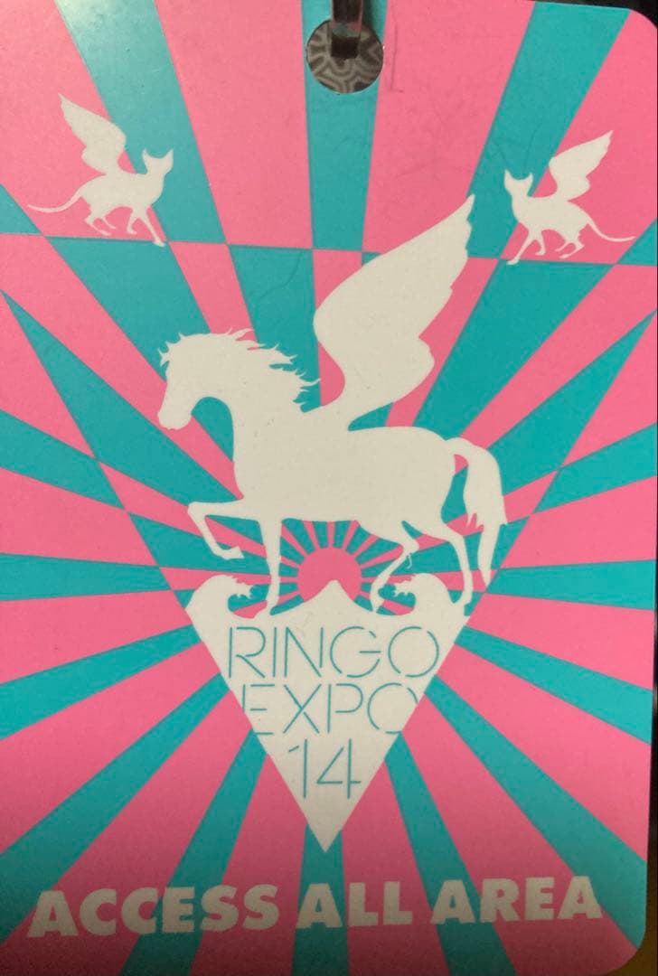 レア　椎名林檎　非売品パス