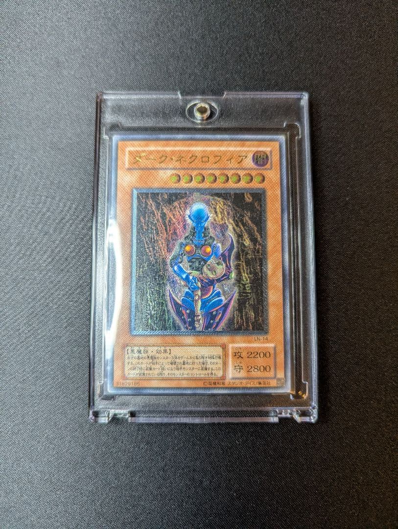 ダークネクロフィア レリーフ 遊戯王OCG