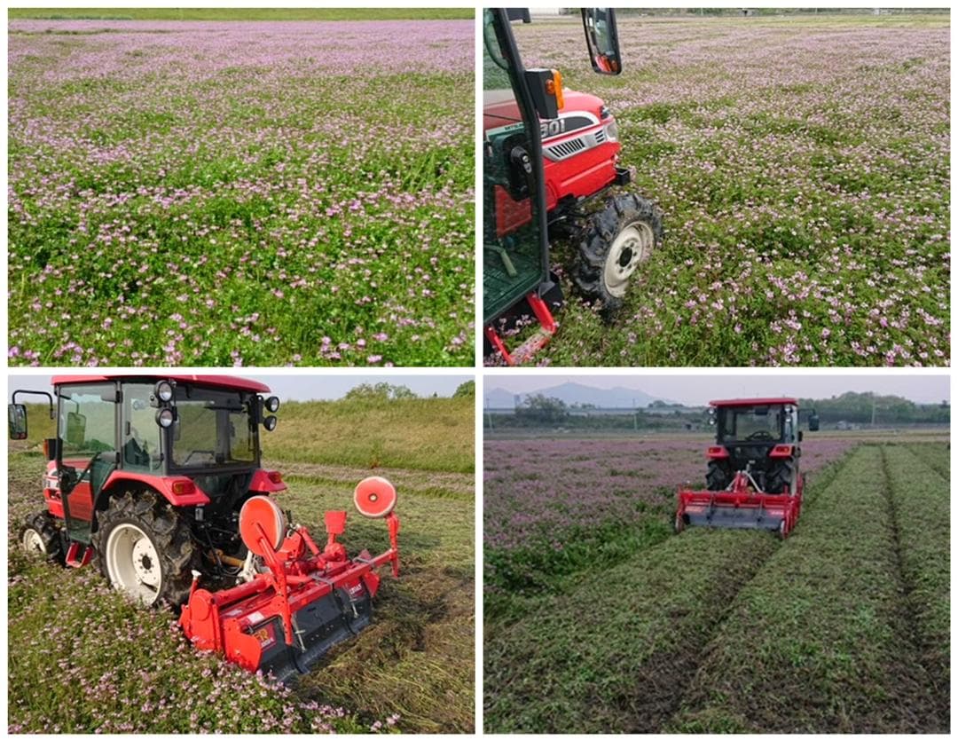 6年産　古米　兵庫播州れんげ米　きぬむすめ　精米　極1等米３0Kg　農直送料無料