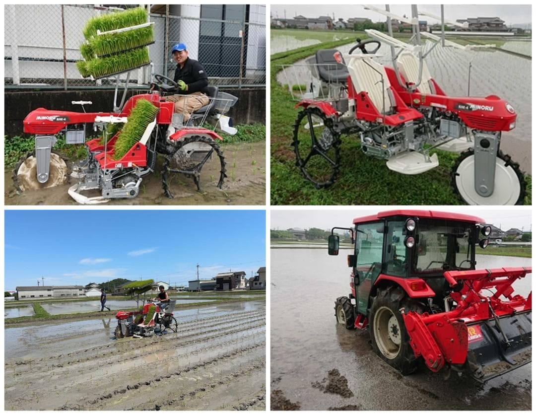 6年産　古米　兵庫播州れんげ米　きぬむすめ　精米　極1等米３0Kg　農直送料無料