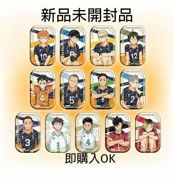 ハイキュー！！スクエア缶バッジ【セット】(おすわり)