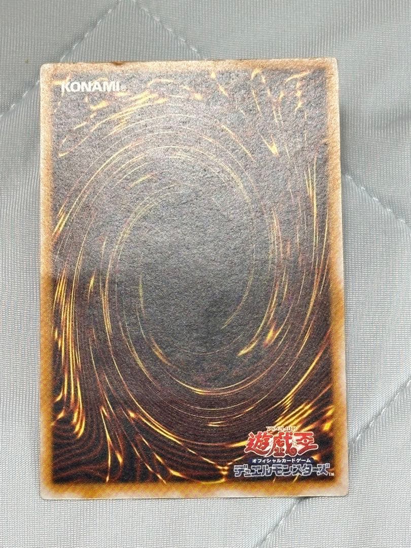 【濃厚青艶】青眼の白龍　レリーフ　sm-51 無加工