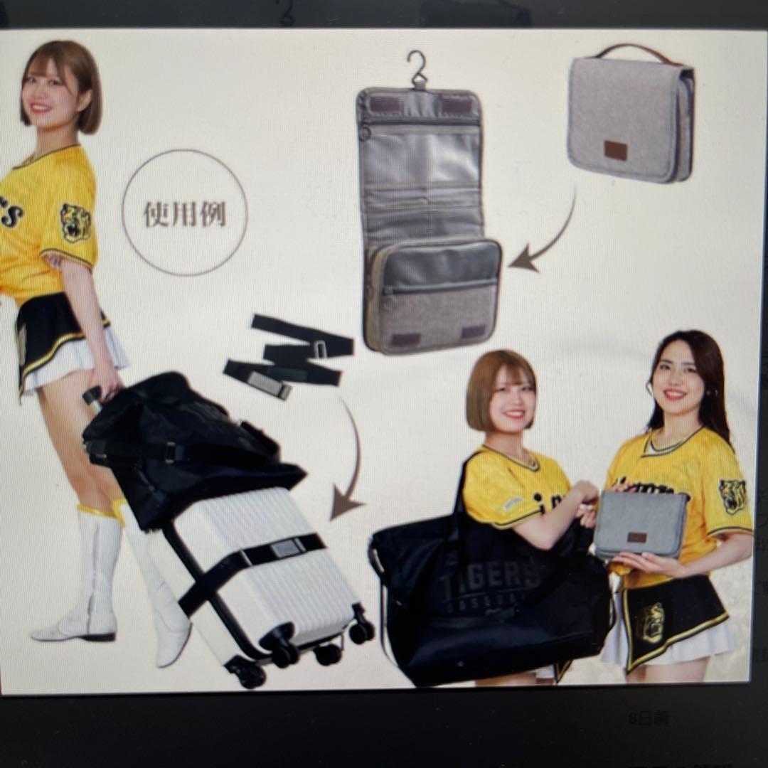 阪神タイガース　ダイヤモンドプラス　ハイグレード　会員特典　選手フォトブック　他