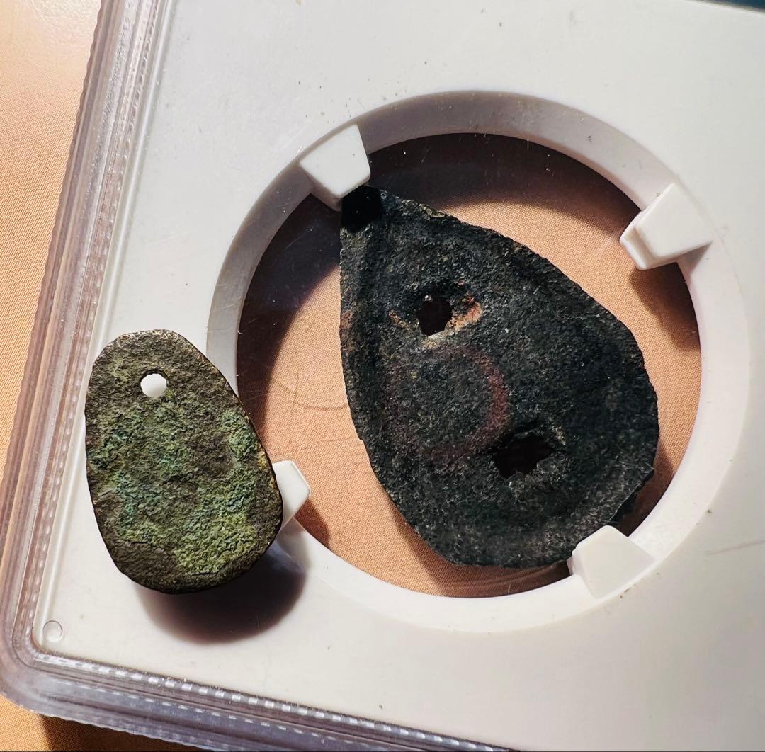 中国　戦国　楚国　魯国　貝幣　2点セット