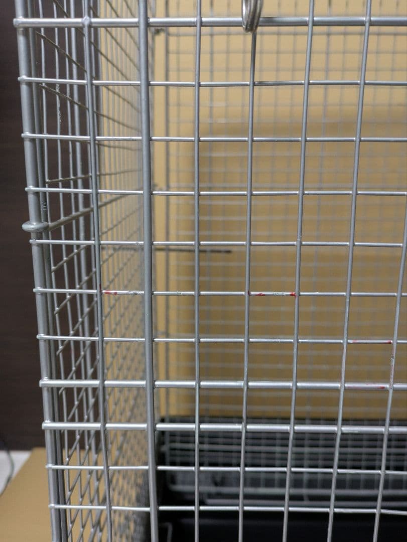 三晃商会　SANKO　イージーホーム60ハイメッシュ　ブラック