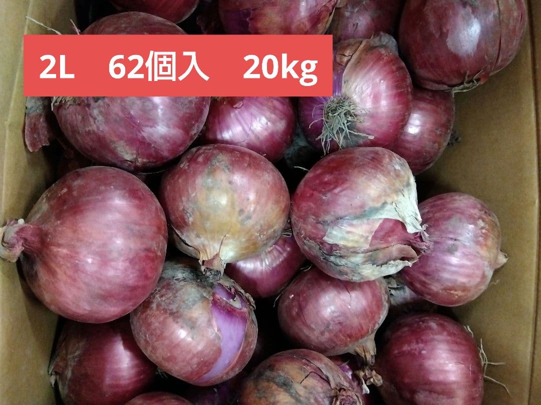 赤玉ねぎ 20kg