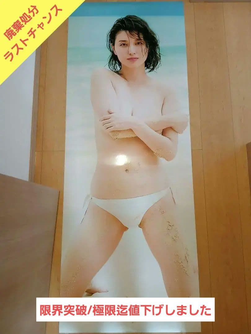 限界突破極限迄値下げしました/完売必死　橋本マナミ　⑭　等身大ポスター　未使用