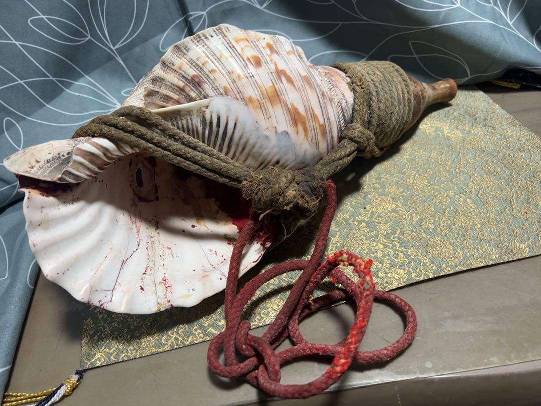 ほら貝 法螺貝 和楽器 貝殻製の楽器