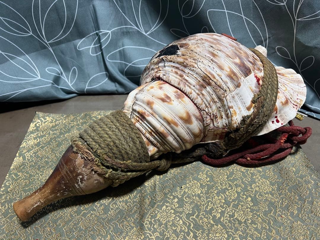 ほら貝 法螺貝 和楽器 貝殻製の楽器