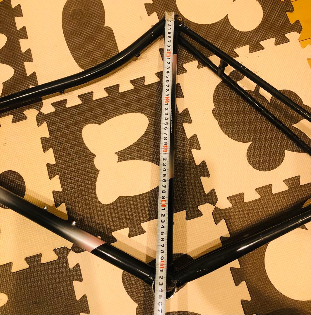 Panasonic パナソニッククロモリ ファニーバイクフレーム