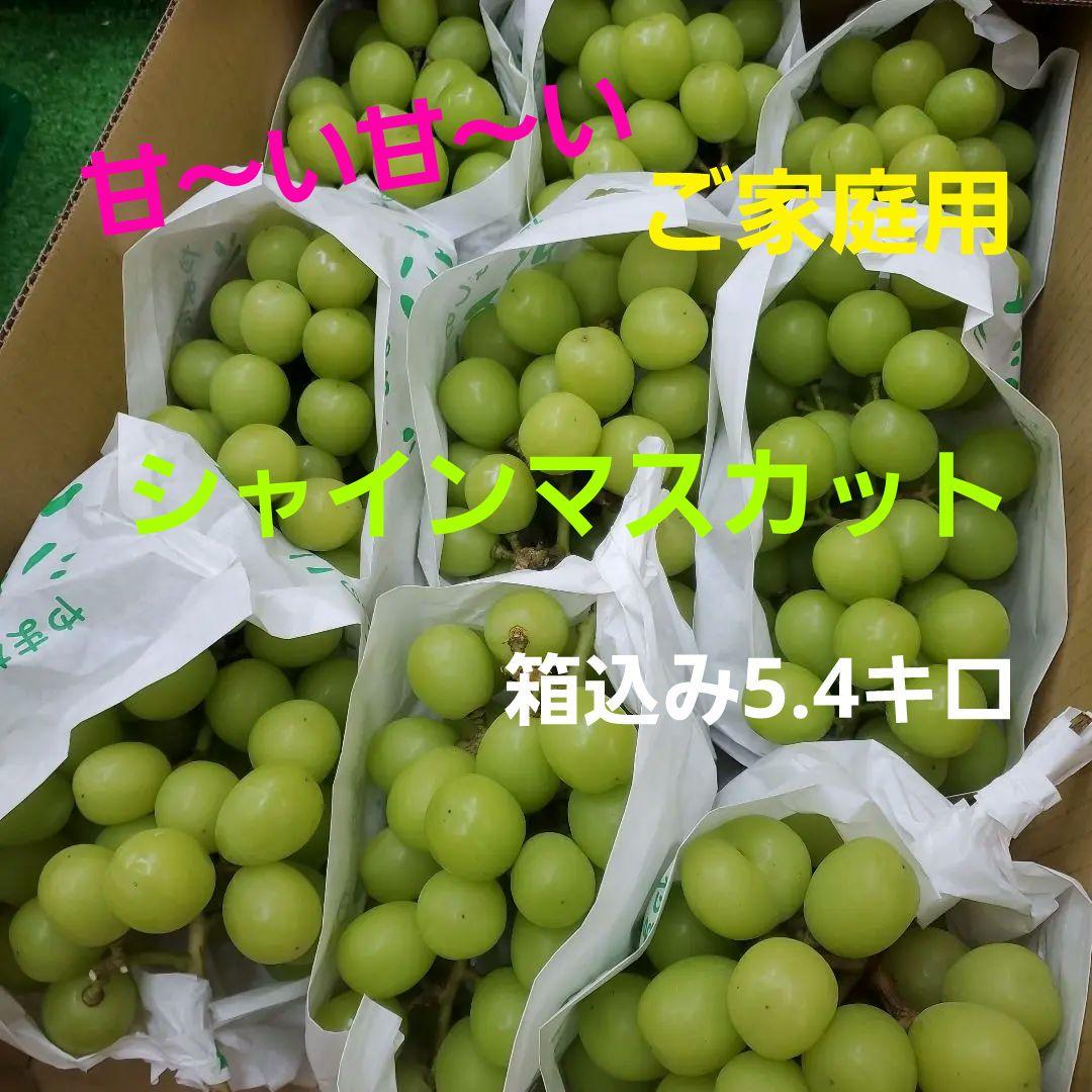 2️⃣ 山梨県産 シャインマスカット １２房 箱込み5.5キロ