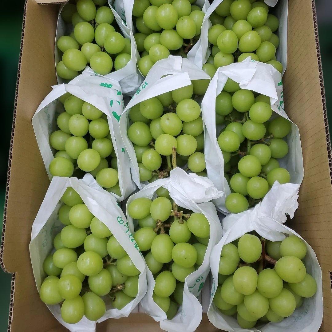 2️⃣ 山梨県産 シャインマスカット １２房 箱込み5.5キロ