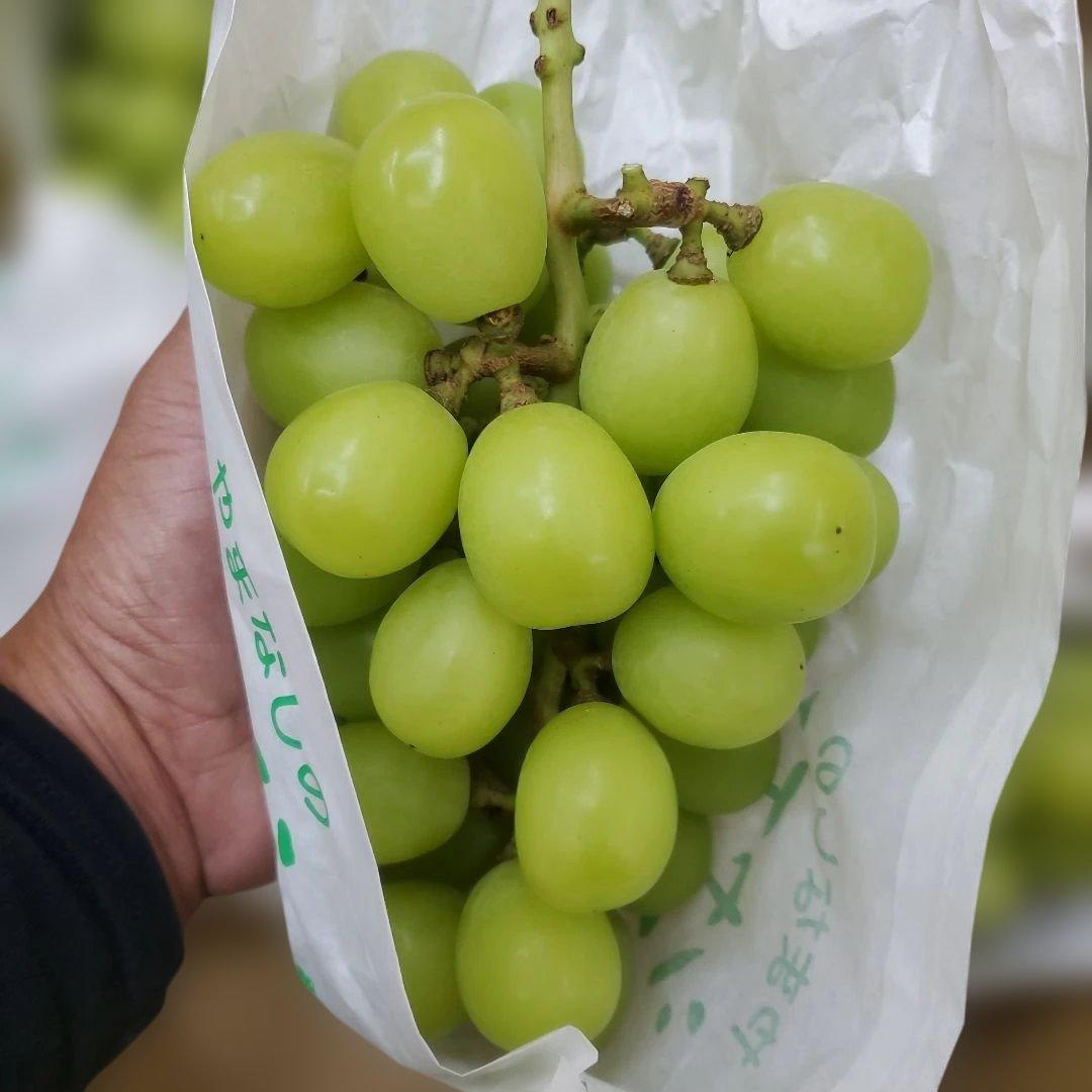 2️⃣ 山梨県産 シャインマスカット １２房 箱込み5.5キロ