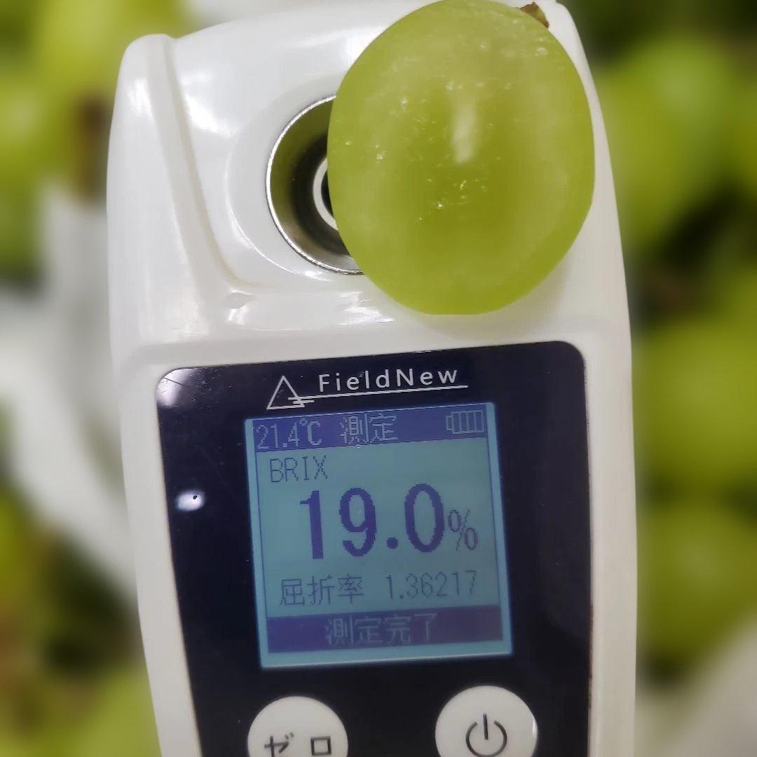 2️⃣ 山梨県産 シャインマスカット １２房 箱込み5.5キロ