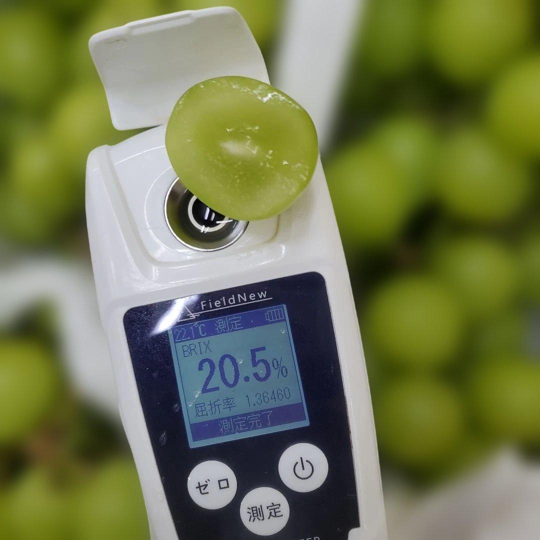 2️⃣ 山梨県産 シャインマスカット １２房 箱込み5.5キロ