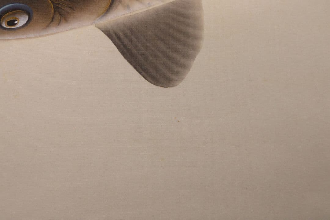 【真作】日本画 大谷園泉 鯉図 絹本 掛軸 双鯉 MB119