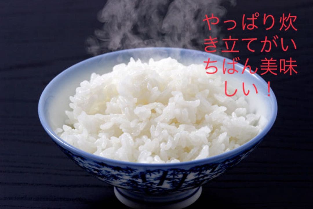 令和7年産 山形県産はえぬき玄米30キロ　農家直送