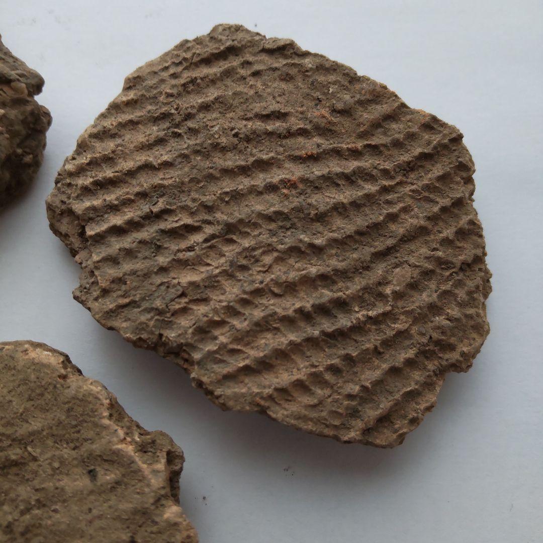 ★本物の縄文土器★(新潟県出土)⑬、5点