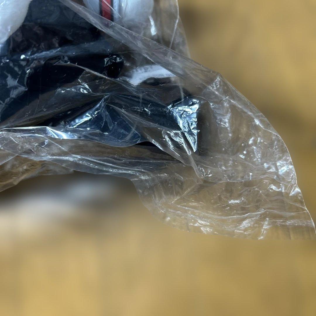 StrayKids dominATE ジニレット エコパ ぬいぐるみ フィギュア