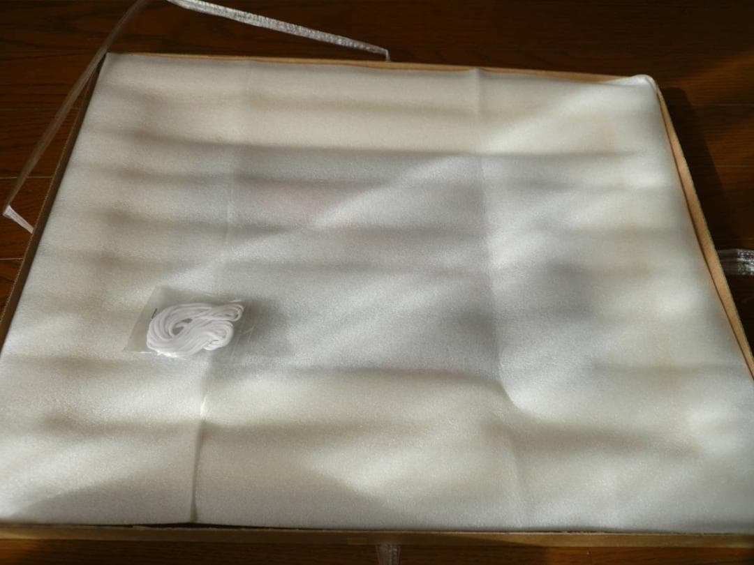 F１　シューマッハ・バリチェロ　直筆サイン入り写真（額装付）