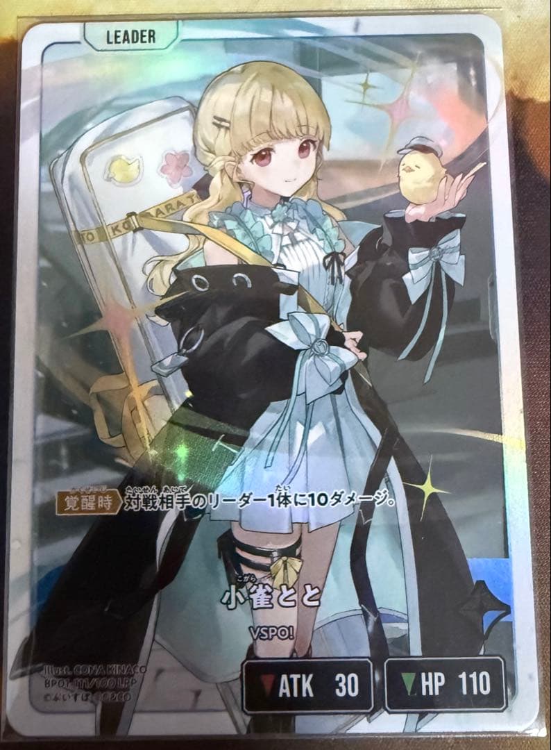 小雀とと LRP Xross Stars