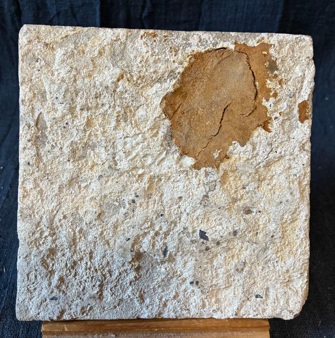 デルフトタイル　17世紀　ローヤルブルー　　 染付けタイル