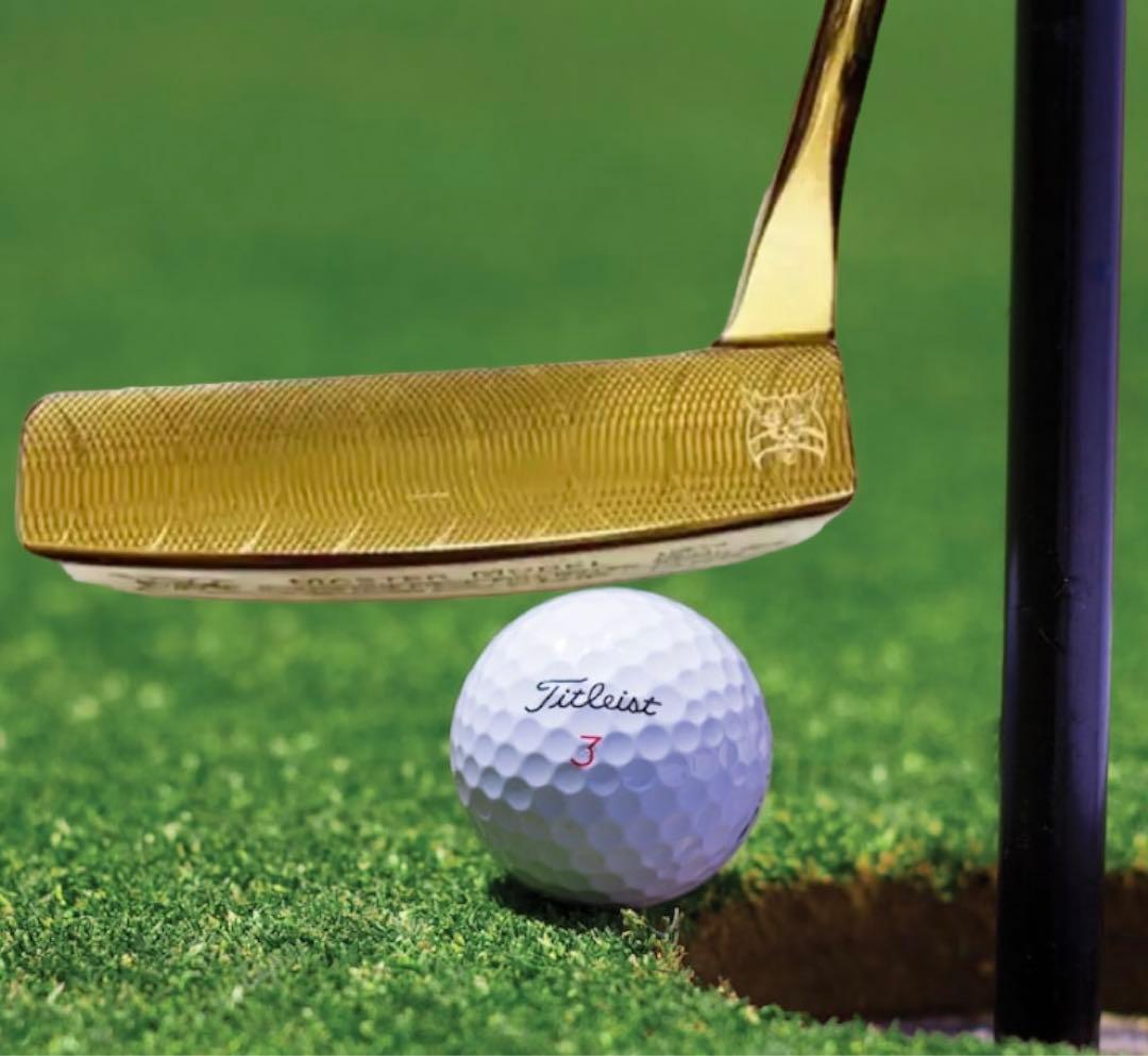 美品❗️マスターズ・パター限定モデル❗️リンクス・プレミアムゴールド マレットパター