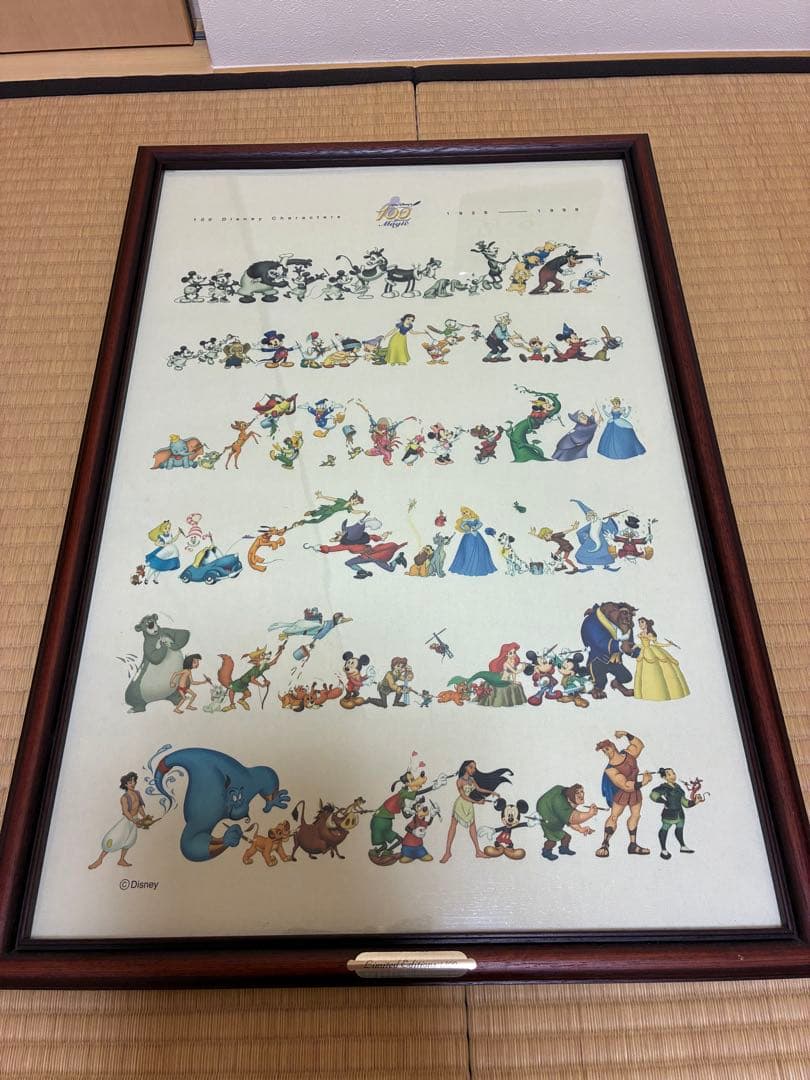 S*i様 ディズニー100周年 キャンパス地　1500限定