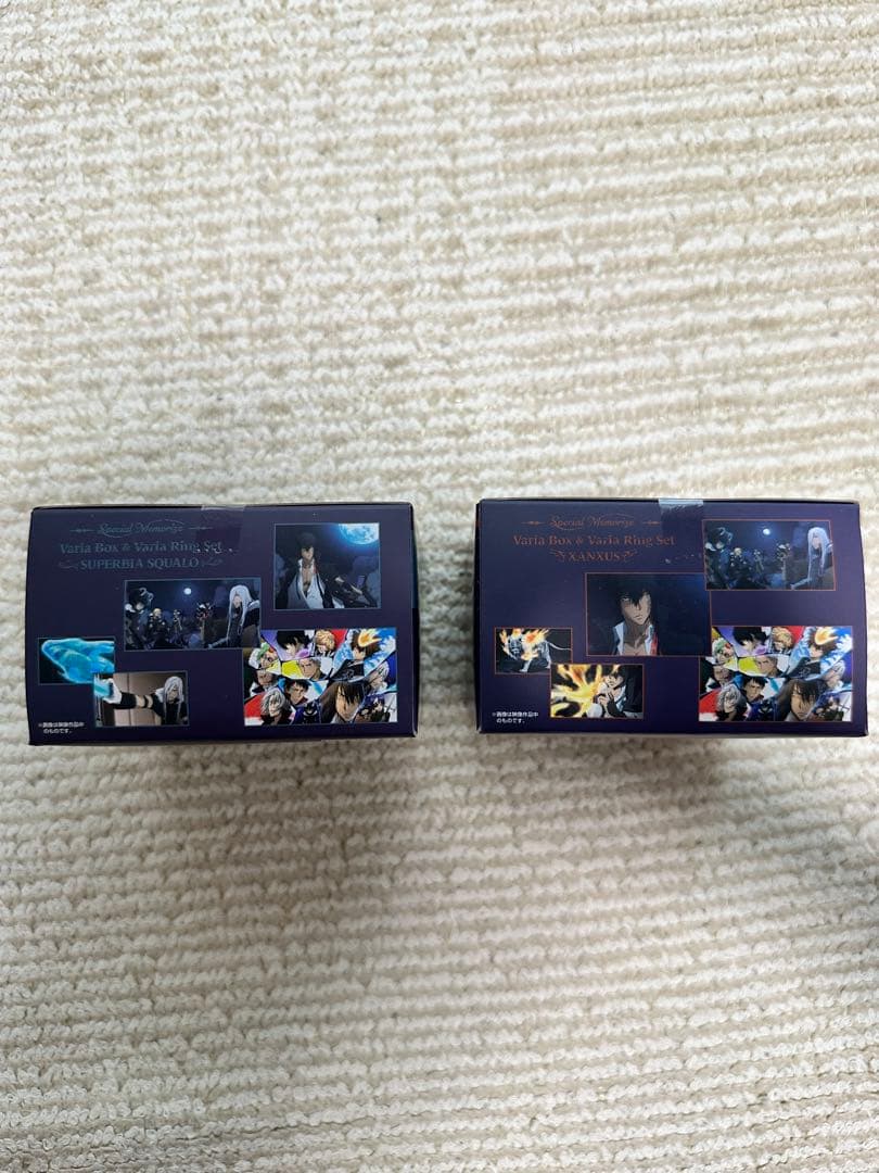 家庭教師ヒットマンREBORN! XANXUS スクアーロ　ヴァリアーリング　匣