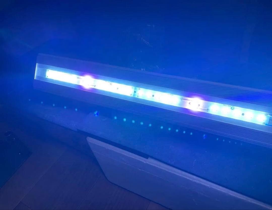 アクロ　トライアングルテラリウム60