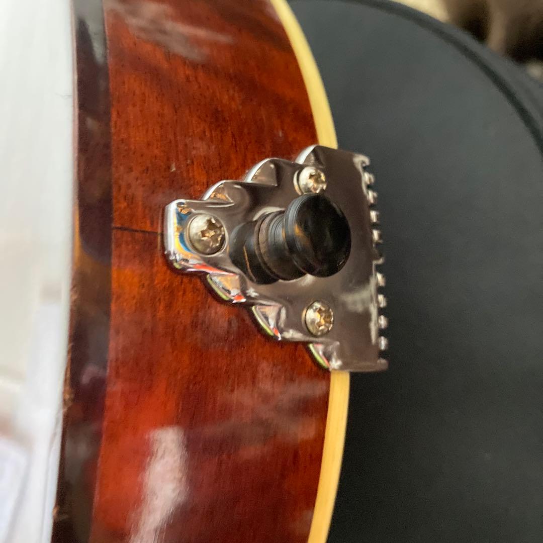 Eastman MD-505/A.Red フラットマンドリン メンテナンス前提で