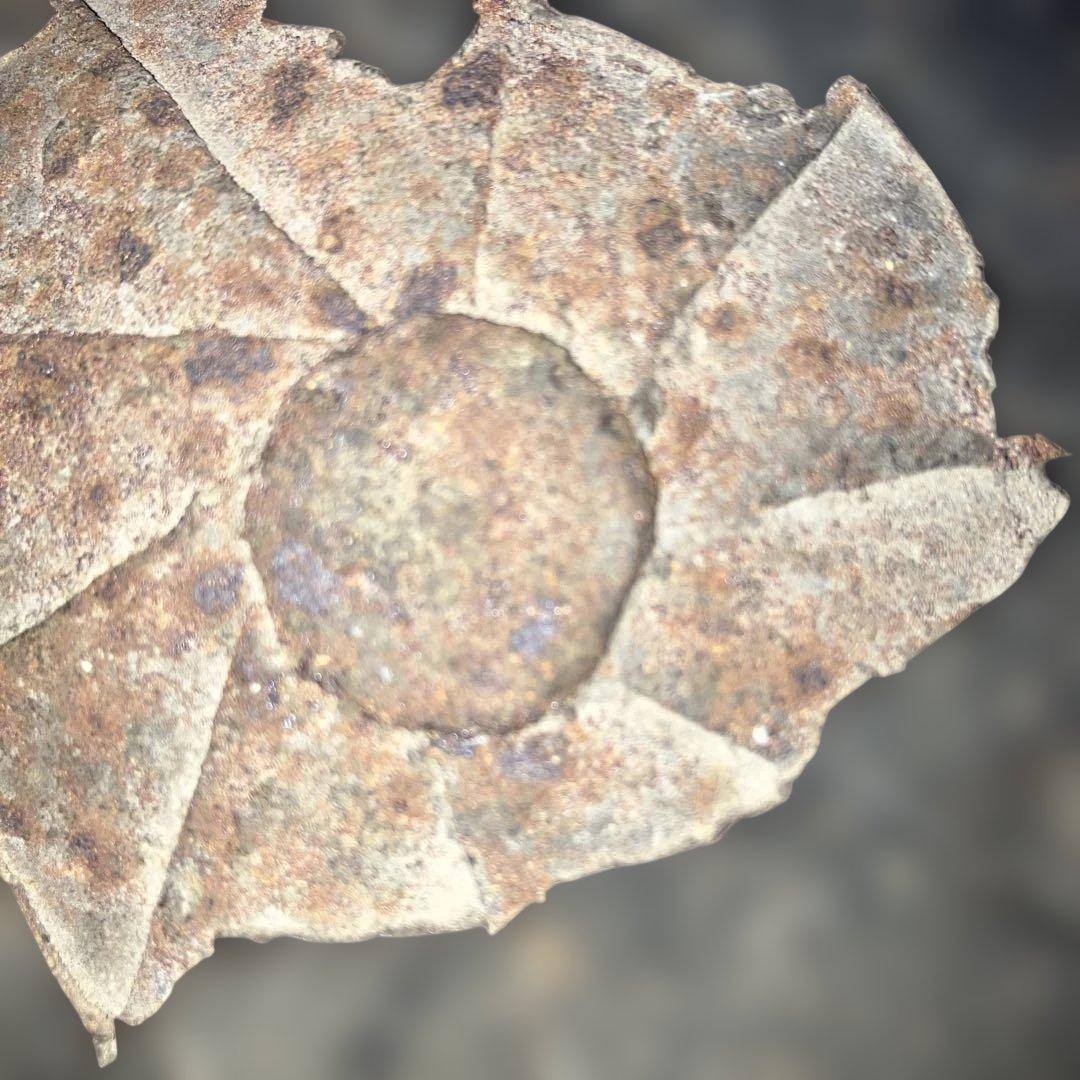 珍品　金漆丸に丸に三つ柏家紋鐵陣笠