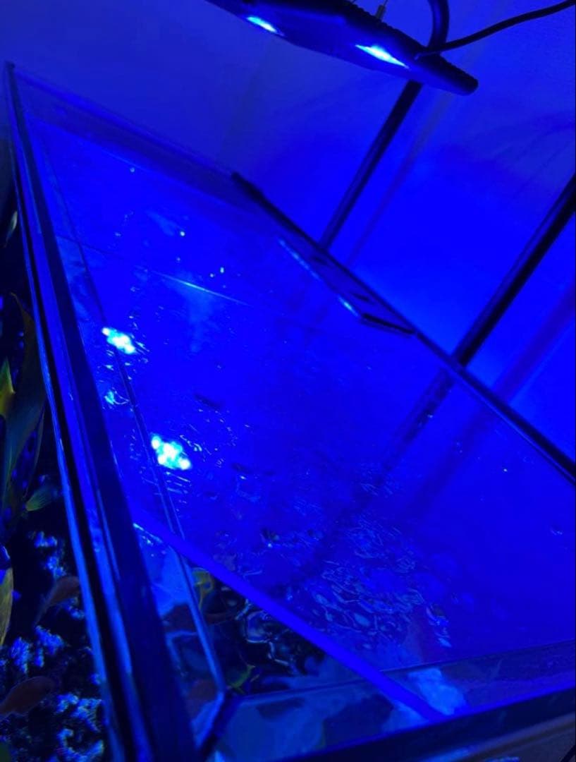 RedSea REEFER 350 海水魚飼育フルセット レッドシー 水槽