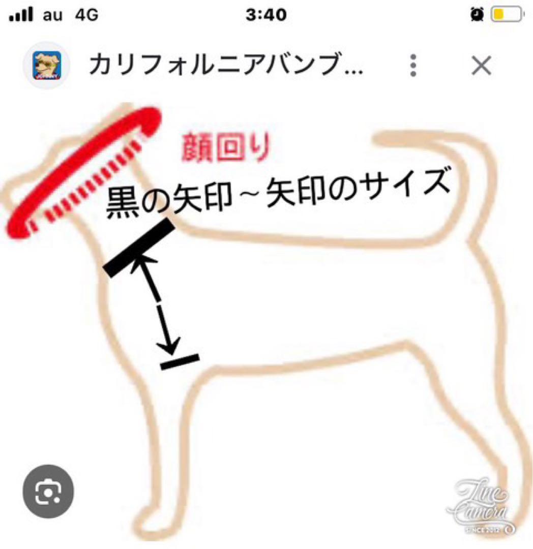 B405.pon2pan2☆オーダー☆犬袴☆犬2ウェイ袴☆犬お着物