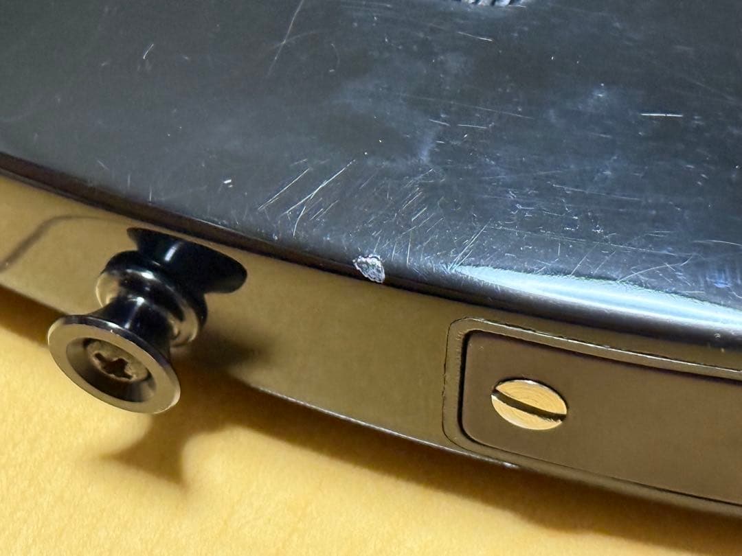 ギター Parker Fly Deluxe USA2004 DiMarzio/Piezo