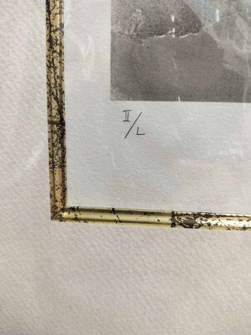 ドロヘドロ　複製原画　エディションNo.Ⅱ　林田球