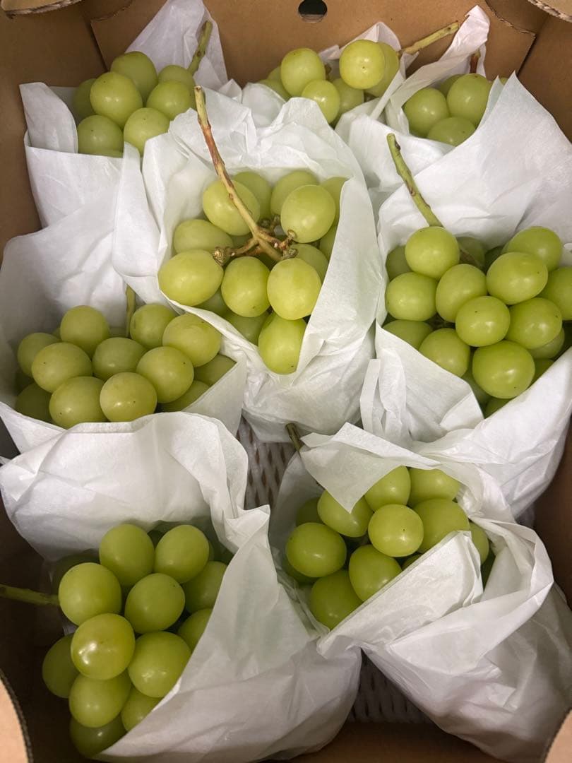 シャインマスカット 5キロ 大8房 バラ売り可能！
