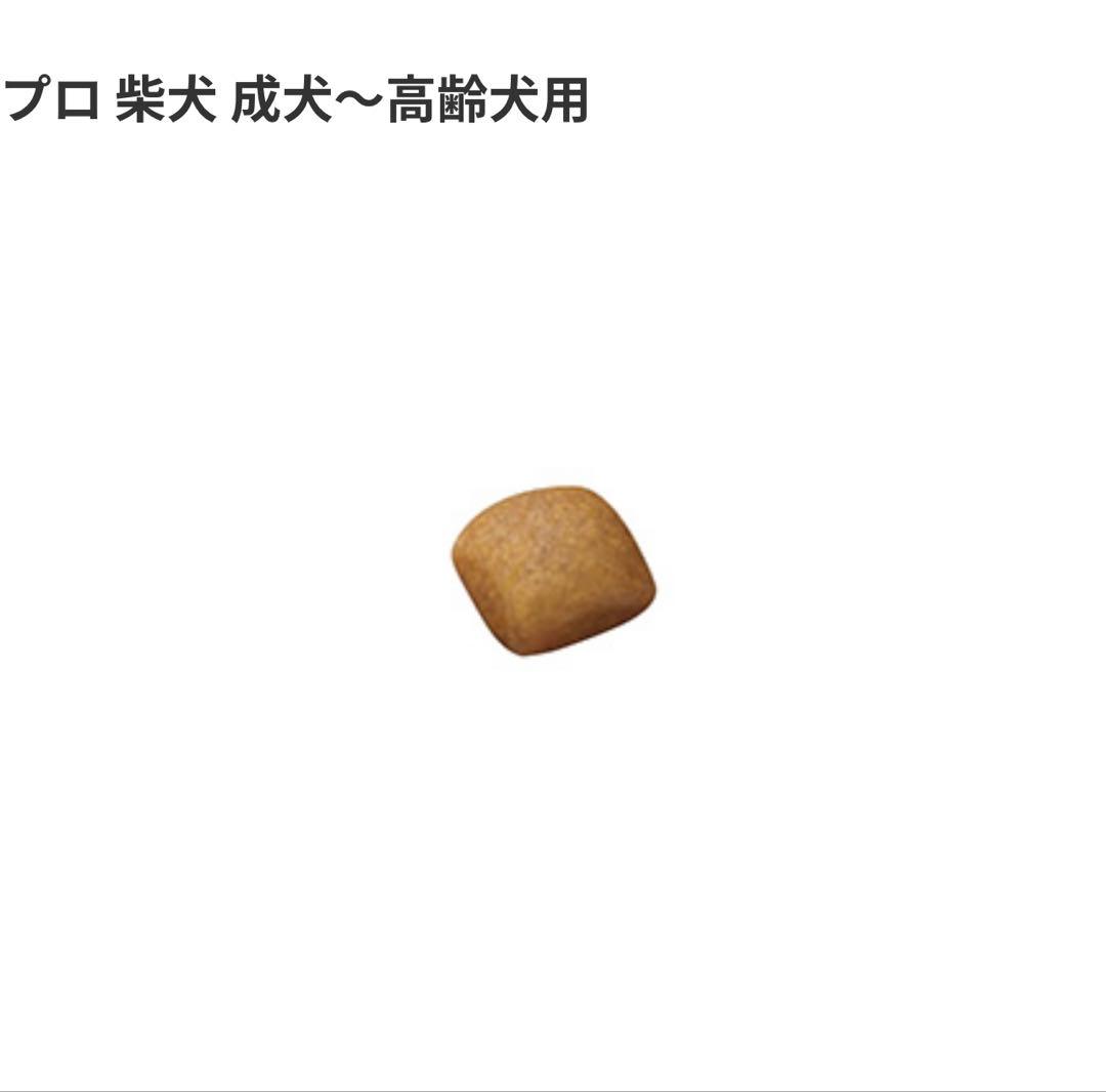 ロイヤルカナン　柴犬　成犬〜高齢犬用　8kg×3袋