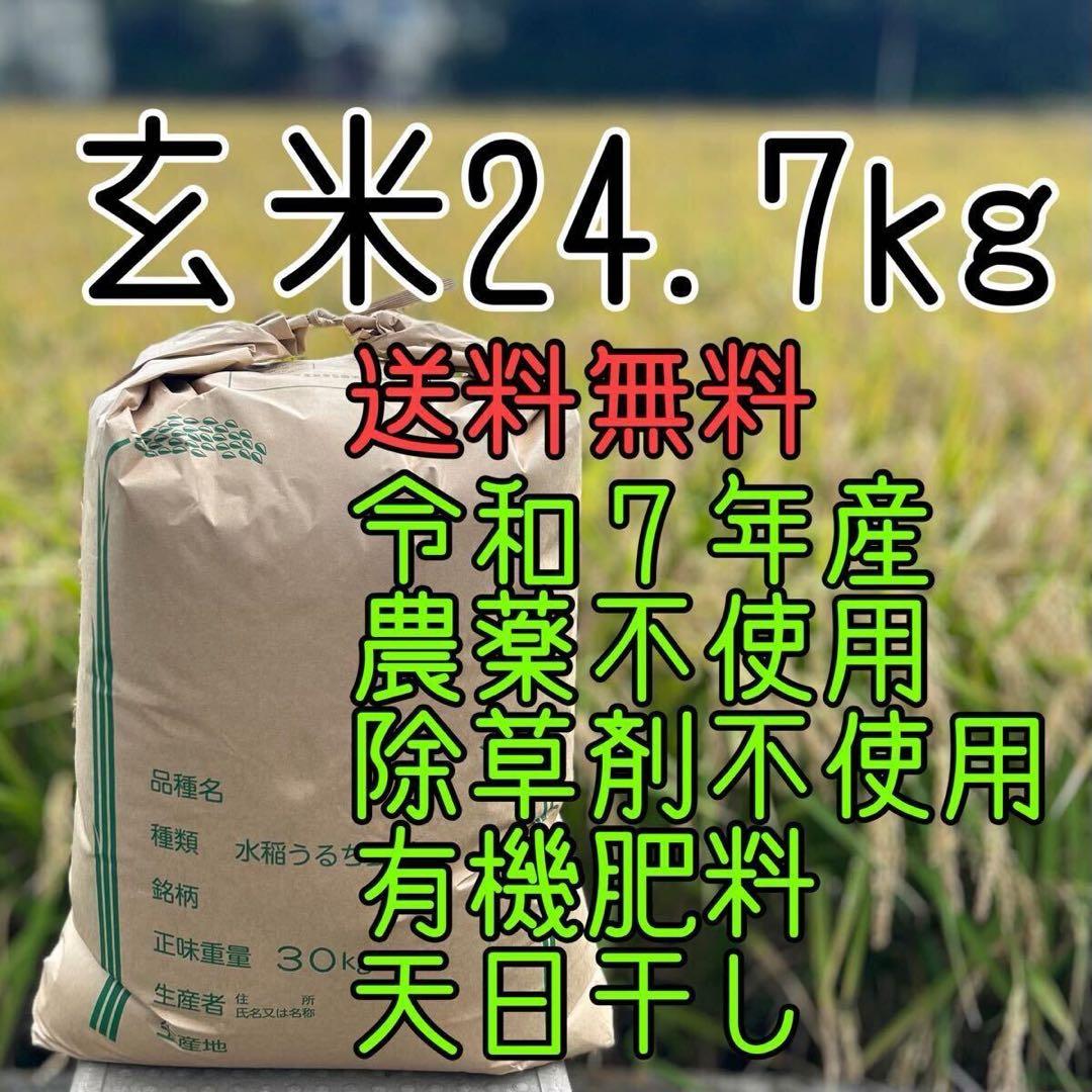 沖縄発送用【送料無料】農家直送 玄米24.7㎏ 農薬不使用 有機栽培 天日干し
