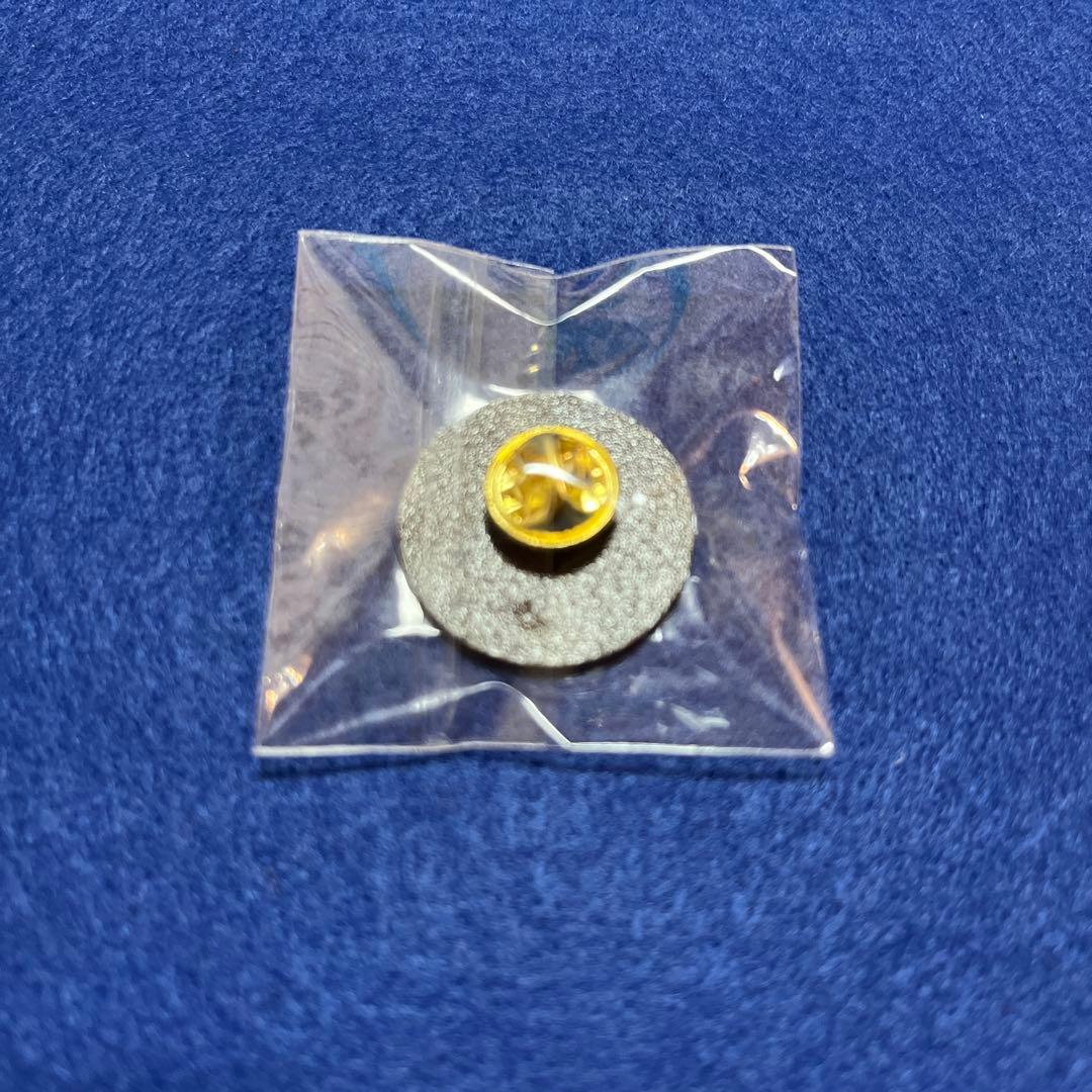 恐竜王国福井　ピンバッジ　EXPO2025 大阪関西万博 関西パビリオン